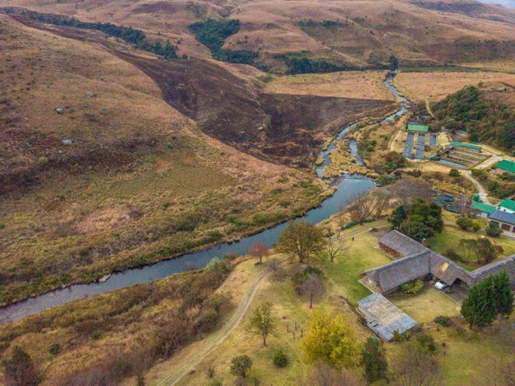 Lolambazo Country House & Cottage - Giants Castle Drakensberg Mahlutshini المظهر الخارجي الصورة