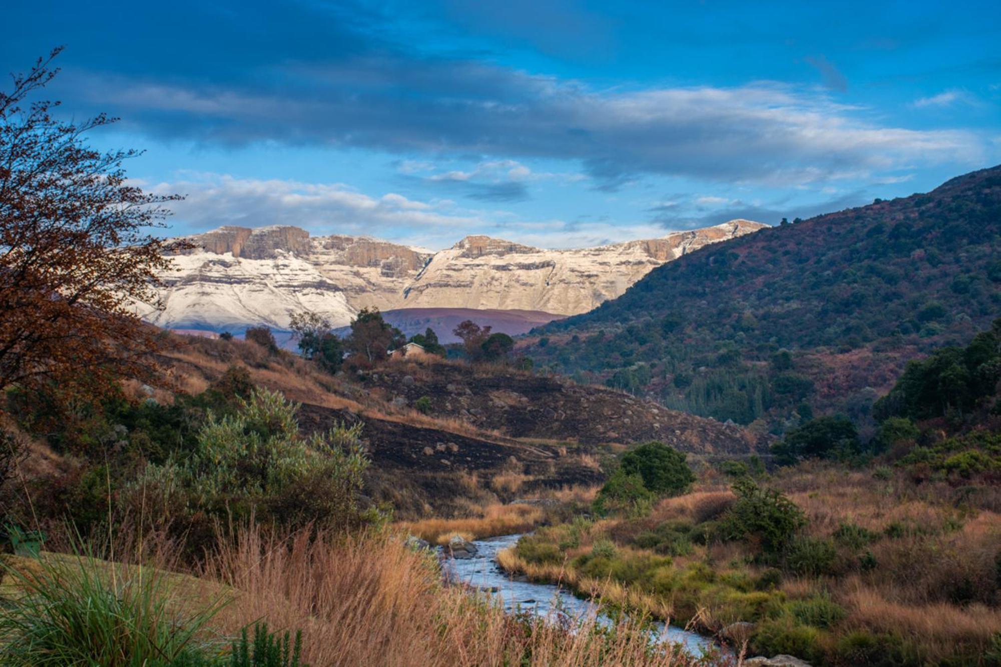 Lolambazo Country House & Cottage - Giants Castle Drakensberg Mahlutshini الغرفة الصورة
